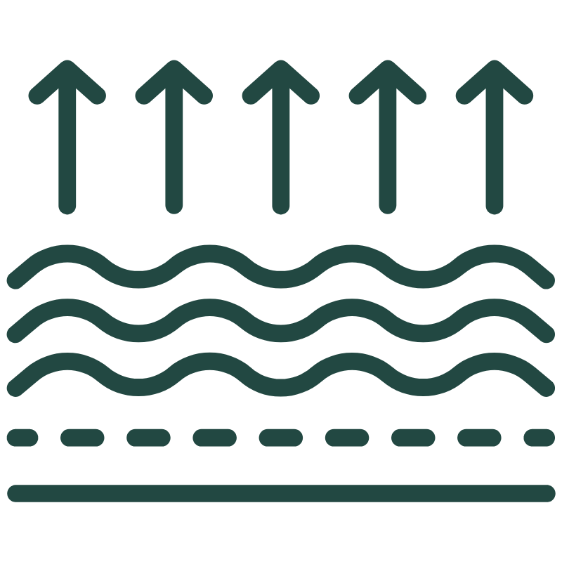 Repair skin cells & wrinkles